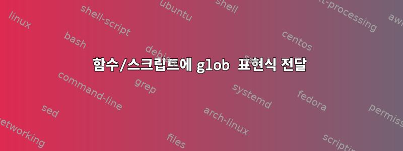 함수/스크립트에 glob 표현식 전달