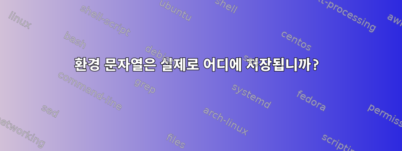 환경 문자열은 실제로 어디에 저장됩니까?