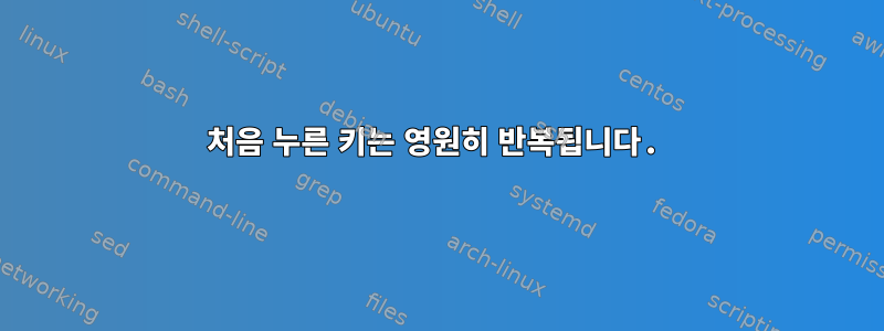 처음 누른 키는 영원히 반복됩니다.