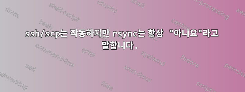 ssh/scp는 작동하지만 rsync는 항상 "아니요"라고 말합니다.