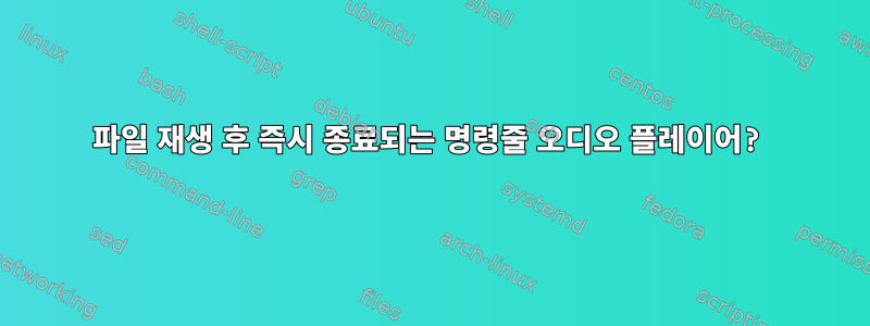 파일 재생 후 즉시 종료되는 명령줄 오디오 플레이어?