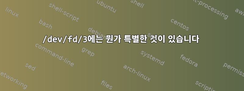 /dev/fd/3에는 뭔가 특별한 것이 있습니다