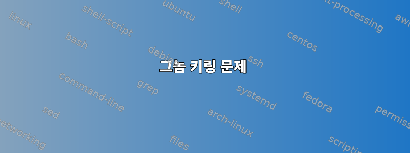 그놈 키링 문제