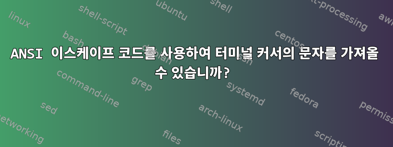 ANSI 이스케이프 코드를 사용하여 터미널 커서의 문자를 가져올 수 있습니까?