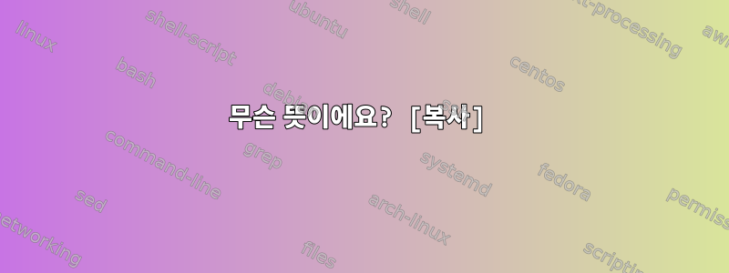 무슨 뜻이에요? [복사]