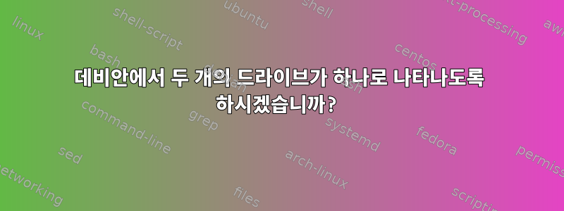 데비안에서 두 개의 드라이브가 하나로 나타나도록 하시겠습니까?