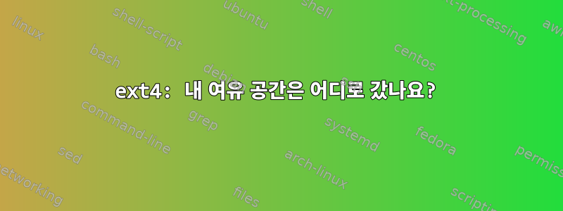 ext4: 내 여유 공간은 어디로 갔나요?