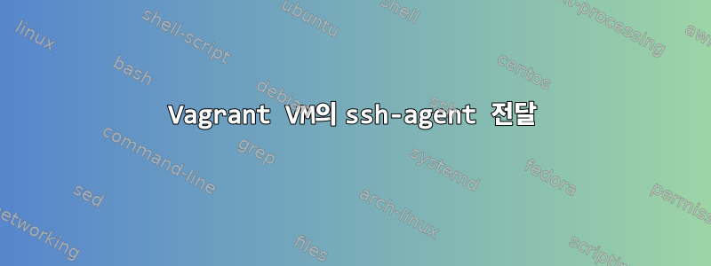 Vagrant VM의 ssh-agent 전달