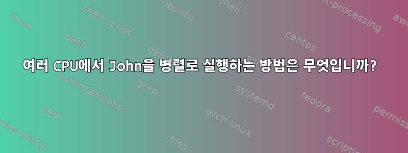 여러 CPU에서 John을 병렬로 실행하는 방법은 무엇입니까?