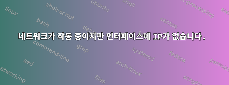 네트워크가 작동 중이지만 인터페이스에 IP가 없습니다.