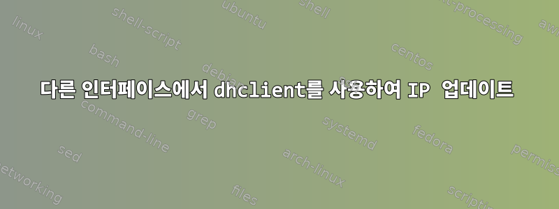 다른 인터페이스에서 dhclient를 사용하여 IP 업데이트