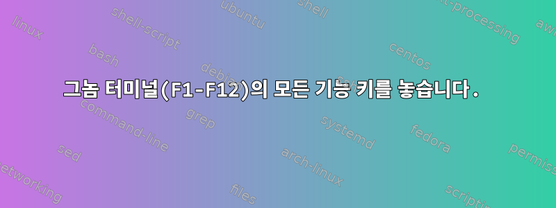 그놈 터미널(F1-F12)의 모든 기능 키를 놓습니다.