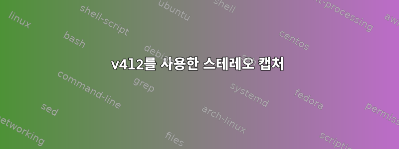 v4l2를 사용한 스테레오 캡처