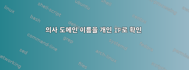 의사 도메인 이름을 개인 IP로 확인