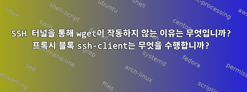 SSH 터널을 통해 wget이 작동하지 않는 이유는 무엇입니까? 프록시 블록 ssh-client는 무엇을 수행합니까?