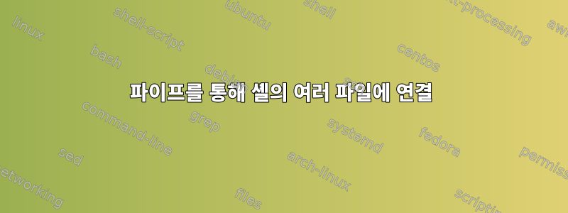 파이프를 통해 셸의 여러 파일에 연결