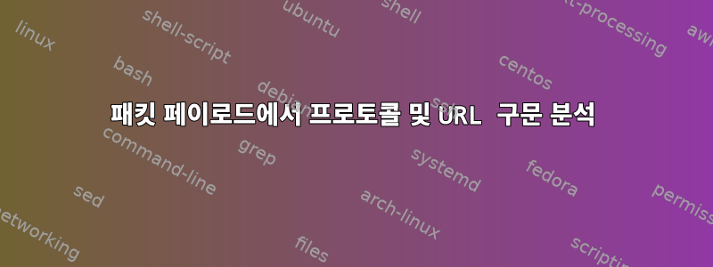 패킷 페이로드에서 프로토콜 및 URL 구문 분석