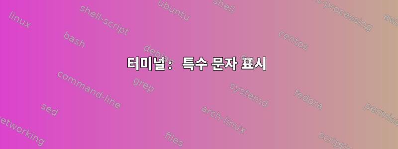 터미널: 특수 문자 표시