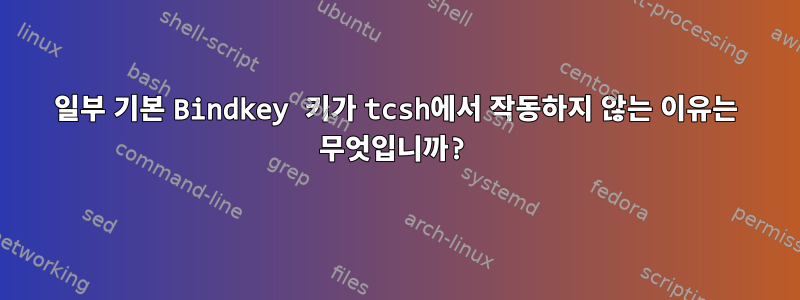 일부 기본 Bindkey 키가 tcsh에서 작동하지 않는 이유는 무엇입니까?