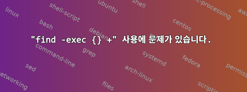 "find -exec {} +" 사용에 문제가 있습니다.