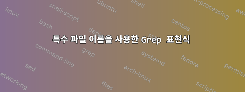 특수 파일 이름을 사용한 Grep 표현식