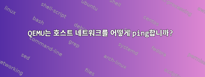 QEMU는 호스트 네트워크를 어떻게 ping합니까?