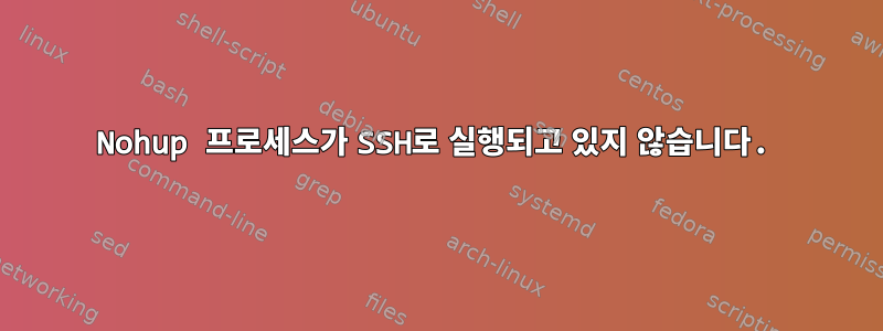 Nohup 프로세스가 SSH로 실행되고 있지 않습니다.