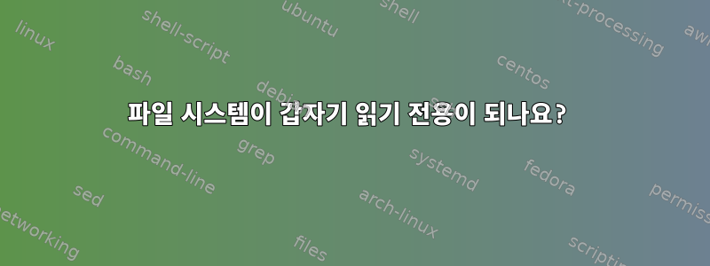 파일 시스템이 갑자기 읽기 전용이 되나요?