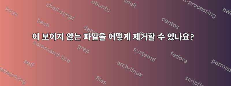 이 보이지 않는 파일을 어떻게 제거할 수 있나요?