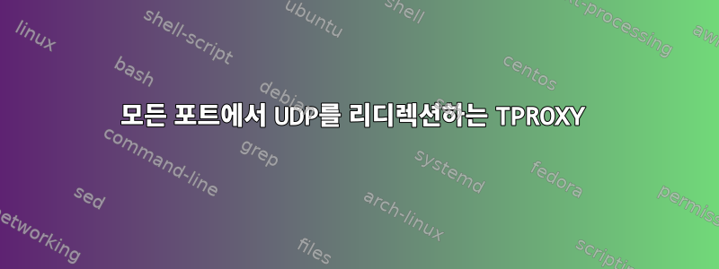 모든 포트에서 UDP를 리디렉션하는 TPROXY