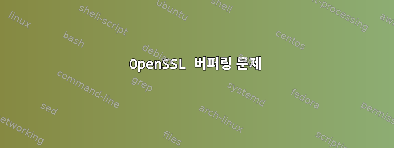 OpenSSL 버퍼링 문제