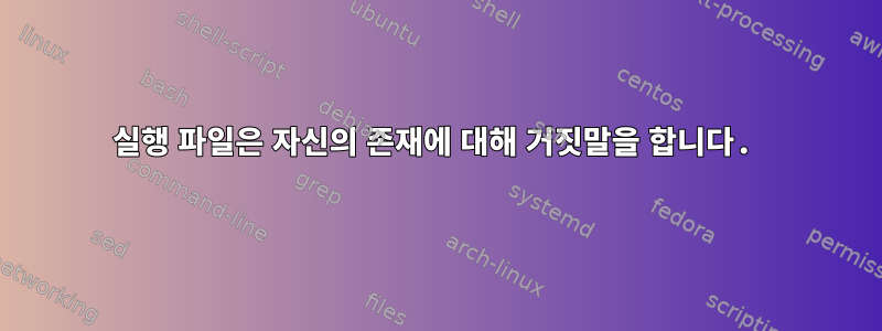 실행 파일은 자신의 존재에 대해 거짓말을 합니다.