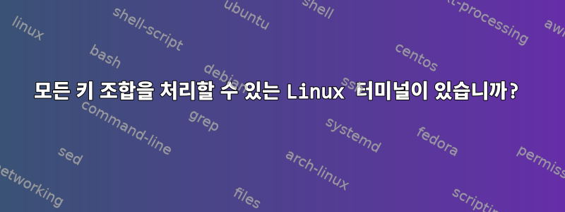 모든 키 조합을 처리할 수 있는 Linux 터미널이 있습니까?