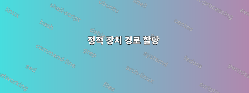 정적 장치 경로 할당