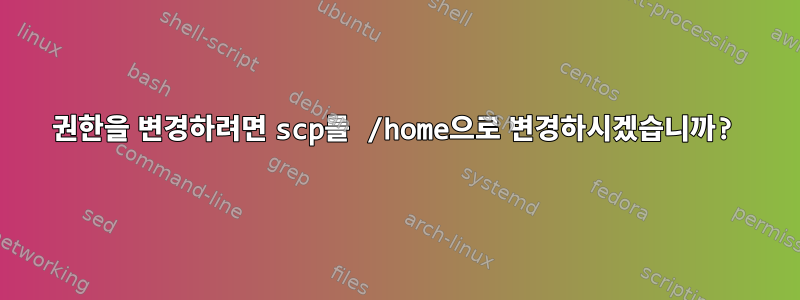 권한을 변경하려면 scp를 /home으로 변경하시겠습니까?