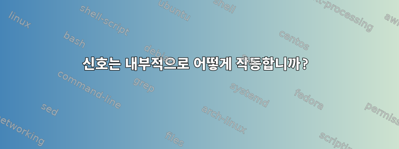 신호는 내부적으로 어떻게 작동합니까?