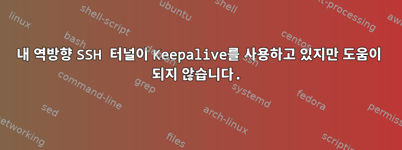 내 역방향 SSH 터널이 Keepalive를 사용하고 있지만 도움이 되지 않습니다.