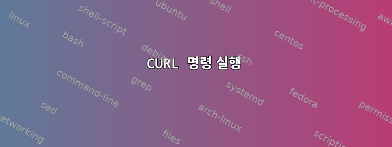 CURL 명령 실행