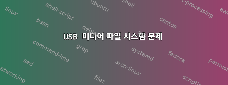 USB 미디어 파일 시스템 문제