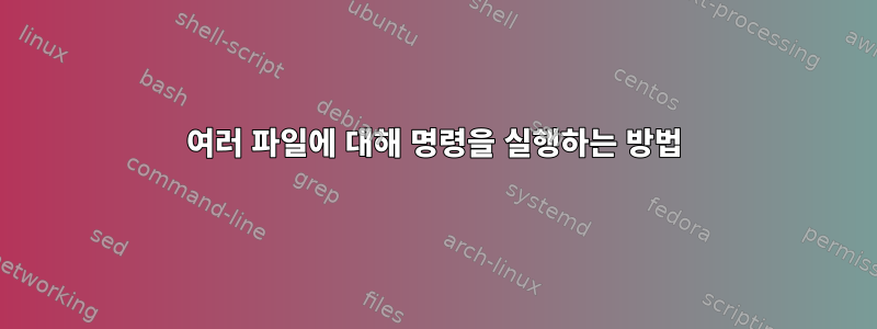 여러 파일에 대해 명령을 실행하는 방법