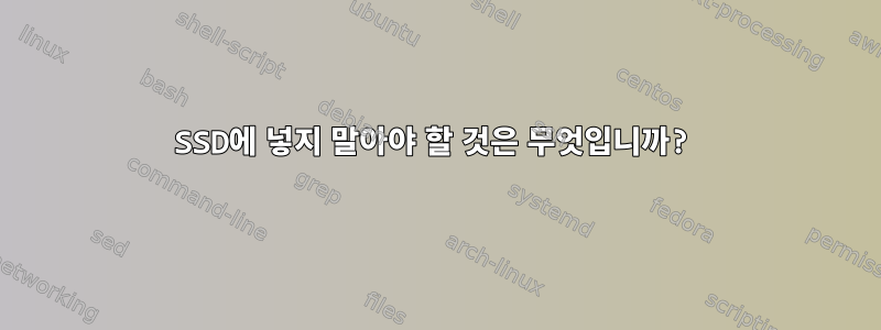 SSD에 넣지 말아야 할 것은 무엇입니까?