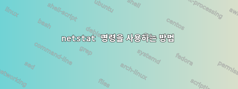 netstat 명령을 사용하는 방법