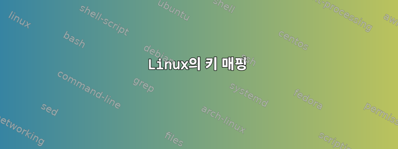 Linux의 키 매핑