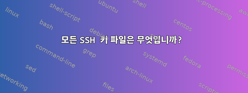 모든 SSH 키 파일은 무엇입니까?