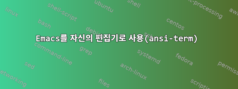 Emacs를 자신의 편집기로 사용(ansi-term)