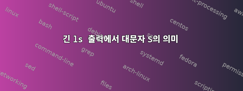 긴 ls 출력에서 ​​대문자 S의 의미