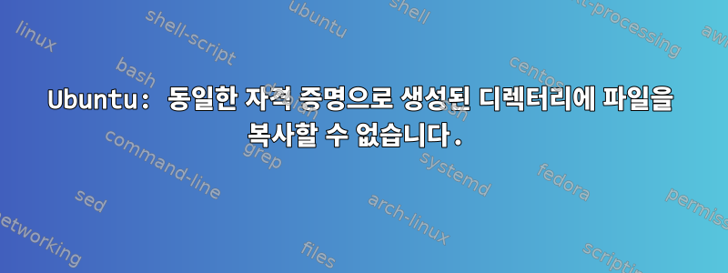 Ubuntu: 동일한 자격 증명으로 생성된 디렉터리에 파일을 복사할 수 없습니다.