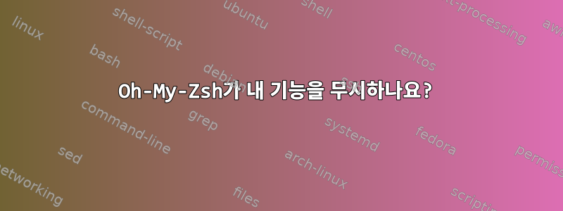 Oh-My-Zsh가 내 기능을 무시하나요?