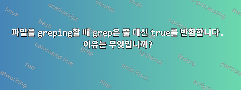 파일을 greping할 때 grep은 줄 대신 true를 반환합니다. 이유는 무엇입니까?