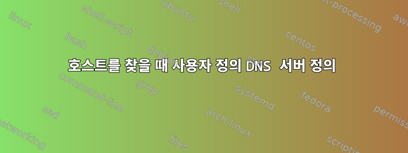 호스트를 찾을 때 사용자 정의 DNS 서버 정의